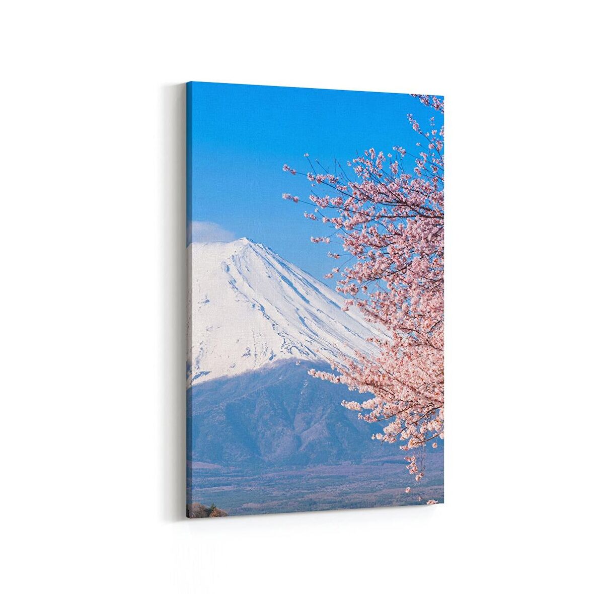 Olla 13606D Doğa / Manzara Görseli Dikey Kanvas Tablo (Ölçü: 100X150)