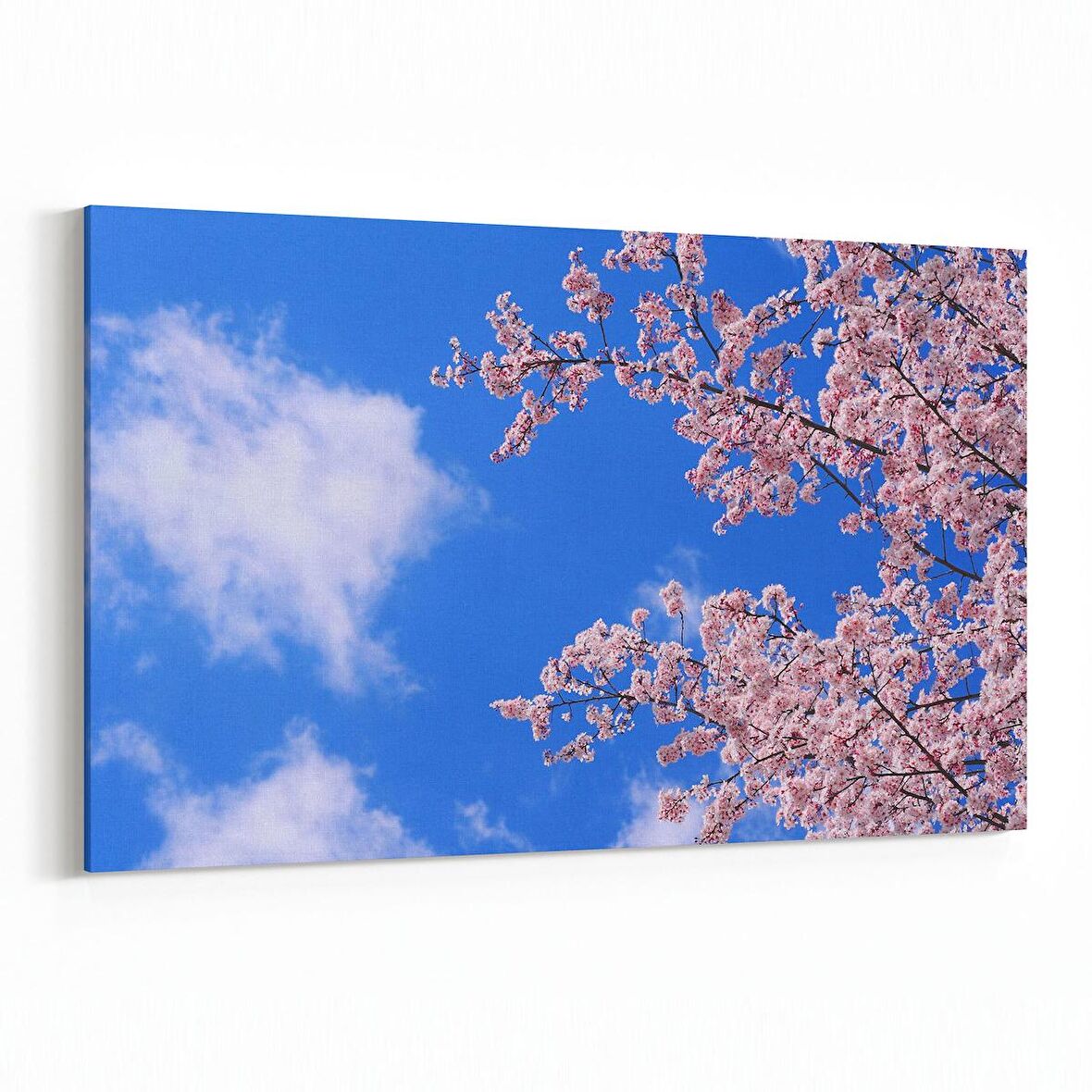 Olla 10675Y Ağaç Görseli Yatay Kanvas Tablo (Ölçü: 120X80)