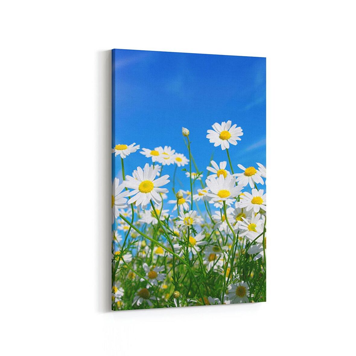 Olla 14323D Doğa / Manzara Görseli Dikey Kanvas Tablo (Ölçü: 60X90)