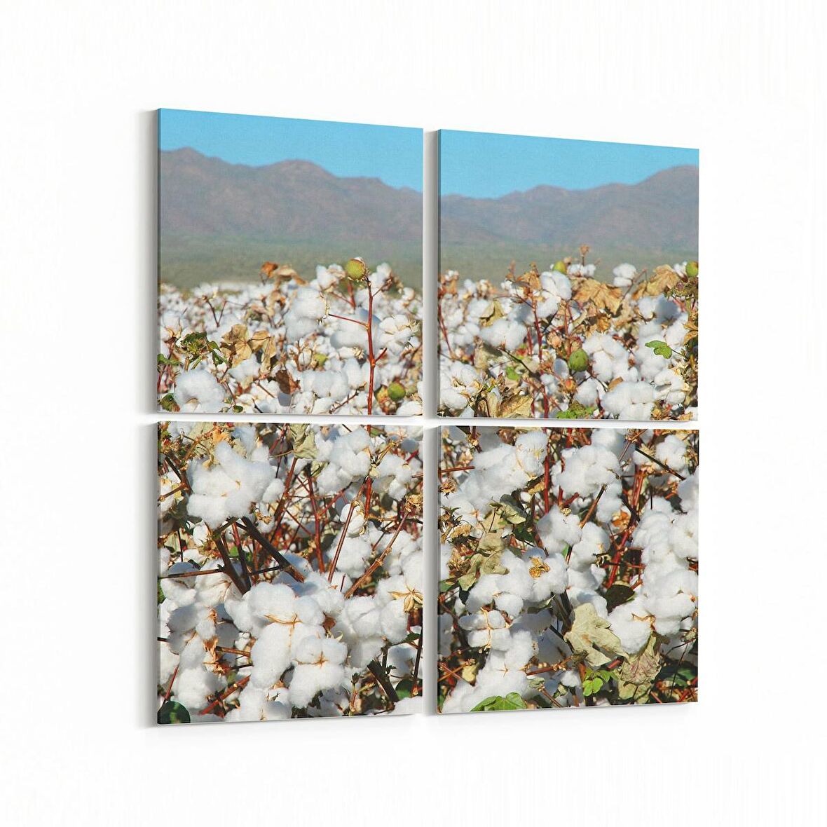 Olla 13562K4 Doğa / Manzara Görseli Kare 4'lü Kanvas Tablo (Ölçü: 65X65)