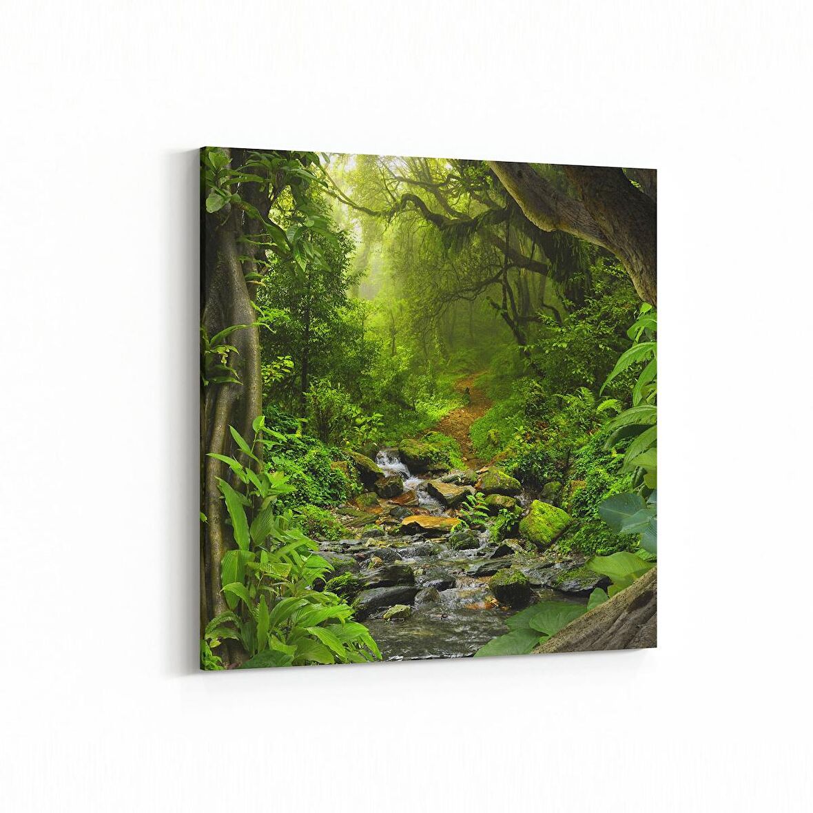 Olla 14178K Doğa / Manzara Görseli Kare Kanvas Tablo (Ölçü: 25X25)