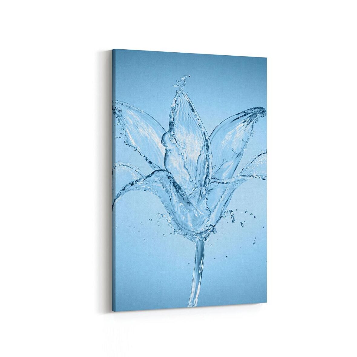 Olla 17298D Su / Damla Görseli Dikey Kanvas Tablo (Ölçü: 20X30)