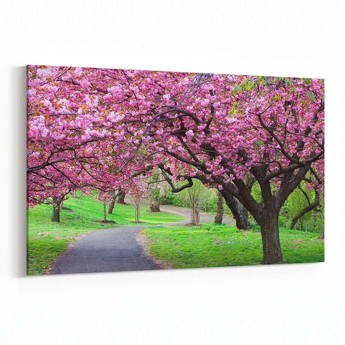 Olla 14265Y Doğa / Manzara Görseli Yatay Kanvas Tablo (Ölçü: 90X60)