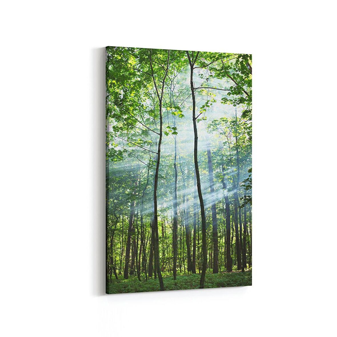 Olla 14621D Doğa / Manzara Görseli Dikey Kanvas Tablo (Ölçü: 20X30)