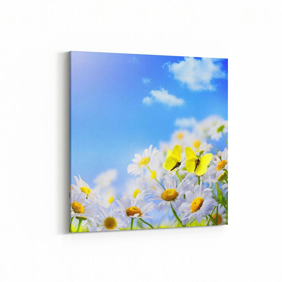 Olla 11677K Orkide Çiçek Görseli Kare Kanvas Tablo (Ölçü: 25X25)