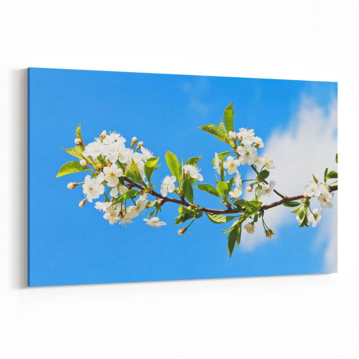 Olla 10682Y Ağaç Görseli Yatay Kanvas Tablo (Ölçü: 30X20)