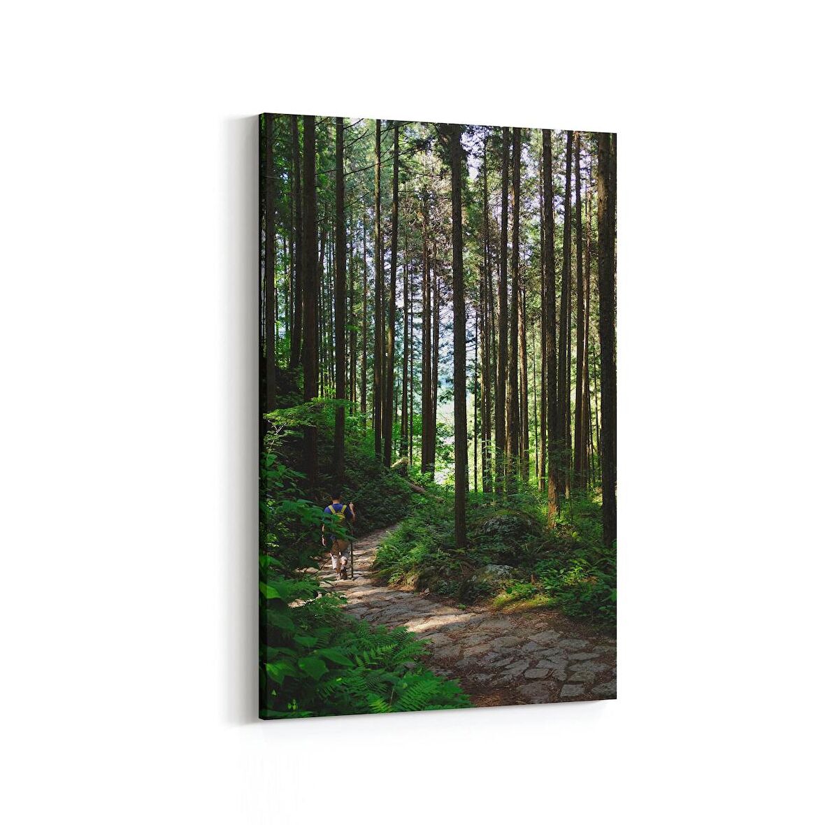 Olla 13495D Doğa / Manzara Görseli Dikey Kanvas Tablo (Ölçü: 20X30)