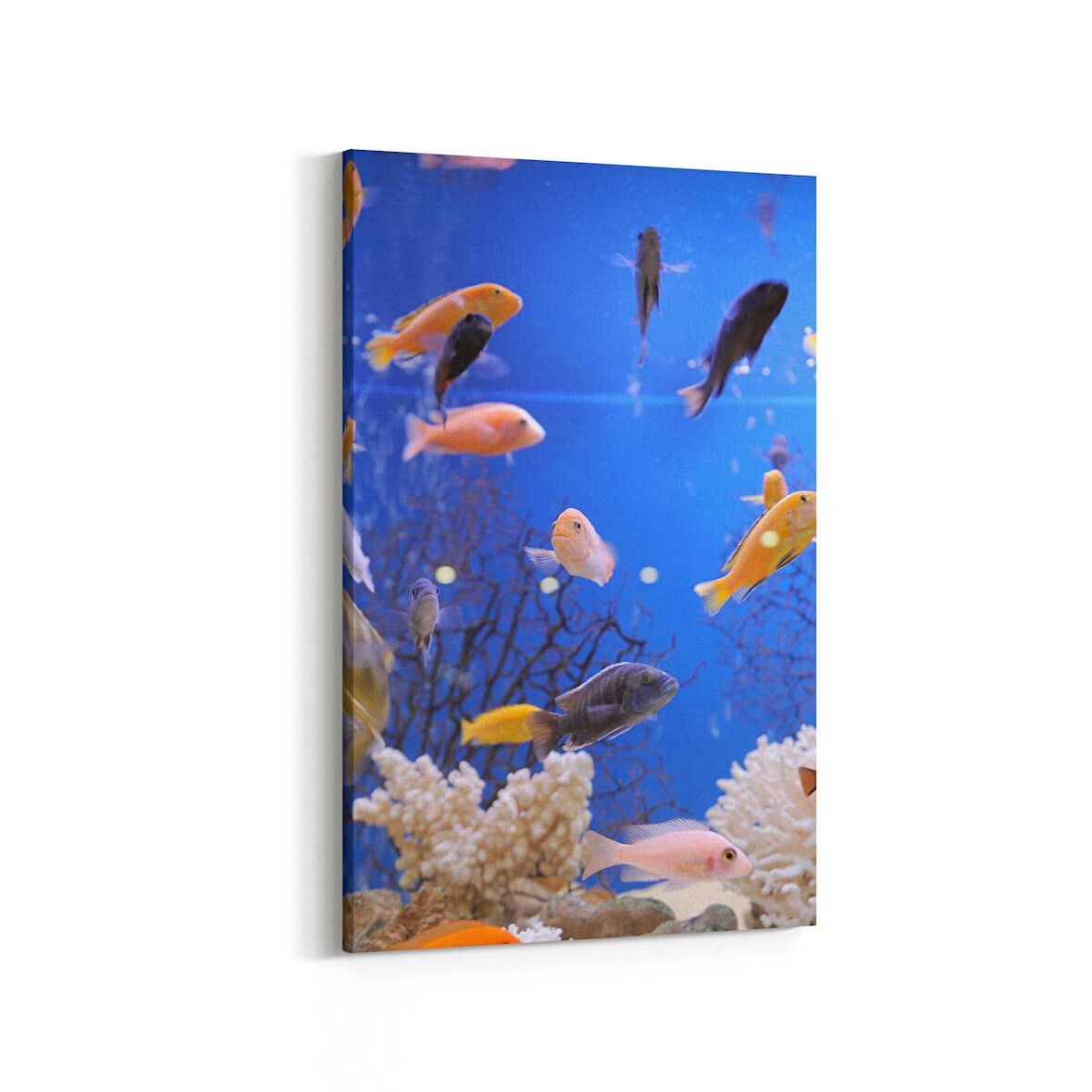Olla 12088D Akvaryum / Balık Görseli Dikey Kanvas Tablo (Ölçü: 100X150)