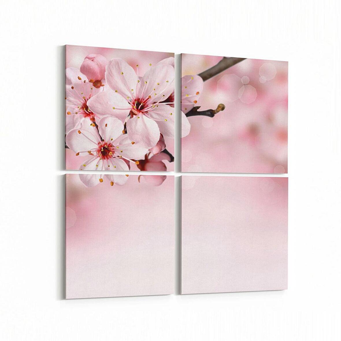 Olla 11672K4 Orkide Çiçek Görseli Kare 4'lü Kanvas Tablo (Ölçü: 145X145)