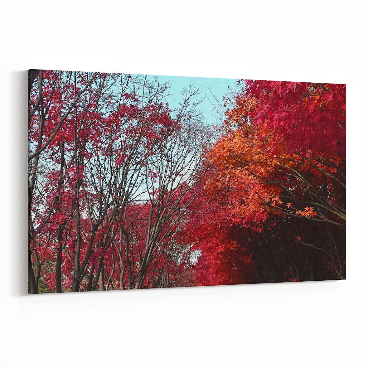 Olla 14525Y Doğa / Manzara Görseli Yatay Kanvas Tablo (Ölçü: 30X20)