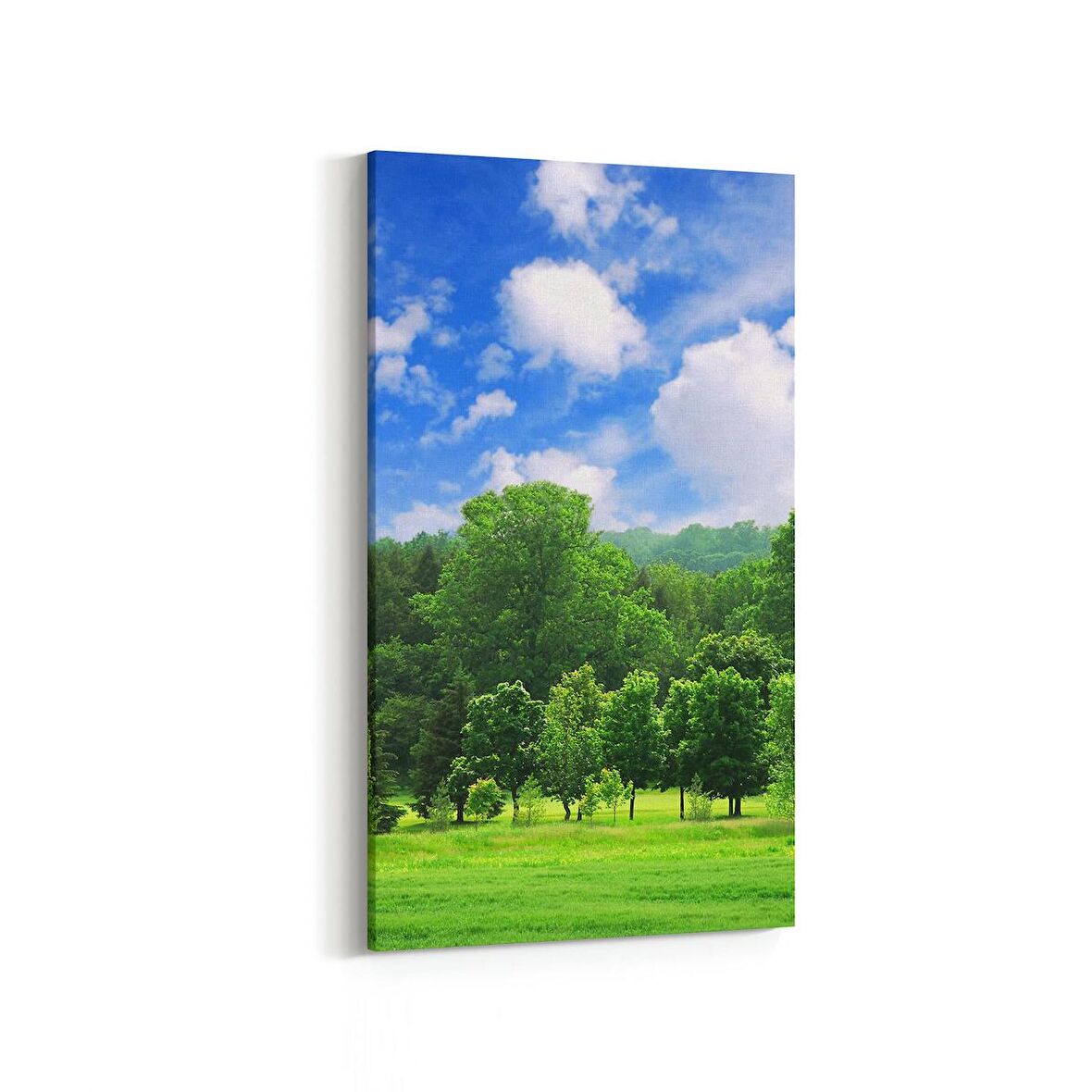 Olla 13859DD Doğa / Manzara Görseli Dikey Dar Kanvas Tablo (Ölçü: 40X80)