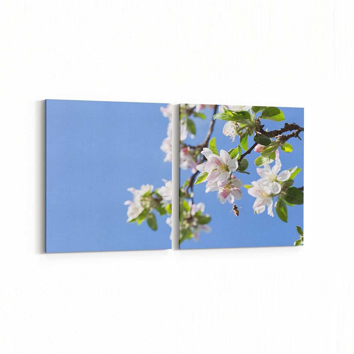 Olla 10676K2Y Ağaç Görseli Kare 2'li Yatay Kanvas Tablo (Ölçü: 65X30)