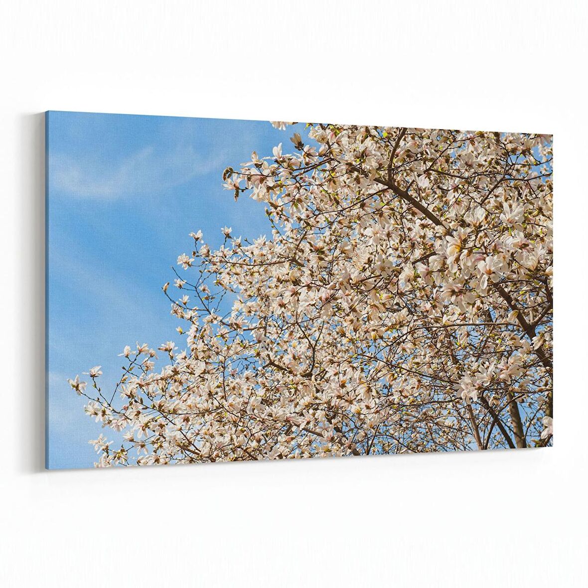 Olla 10822Y Ağaç Görseli Yatay Kanvas Tablo (Ölçü: 150X100)