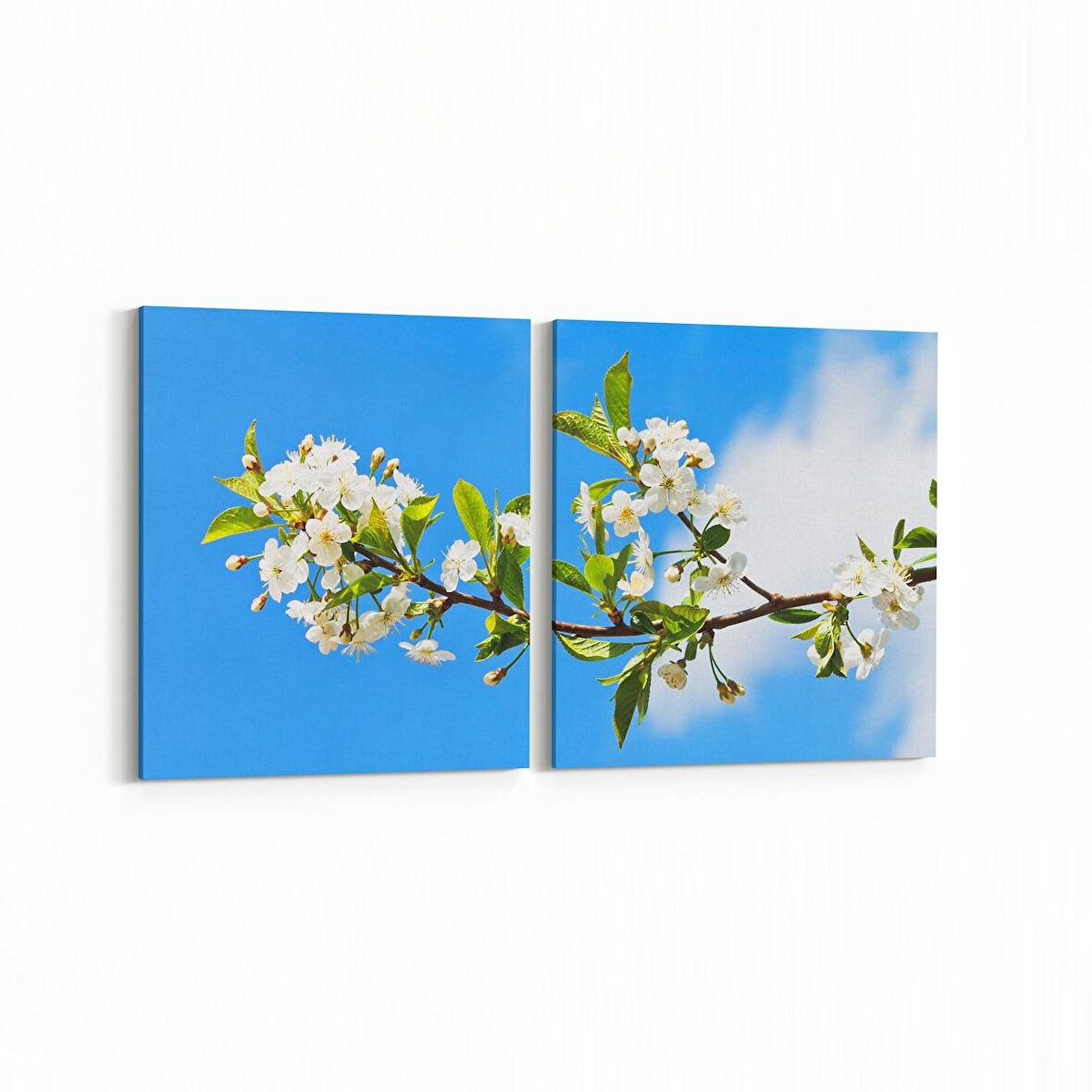 Olla 10682K2Y Ağaç Görseli Kare 2'li Yatay Kanvas Tablo (Ölçü: 85X40)