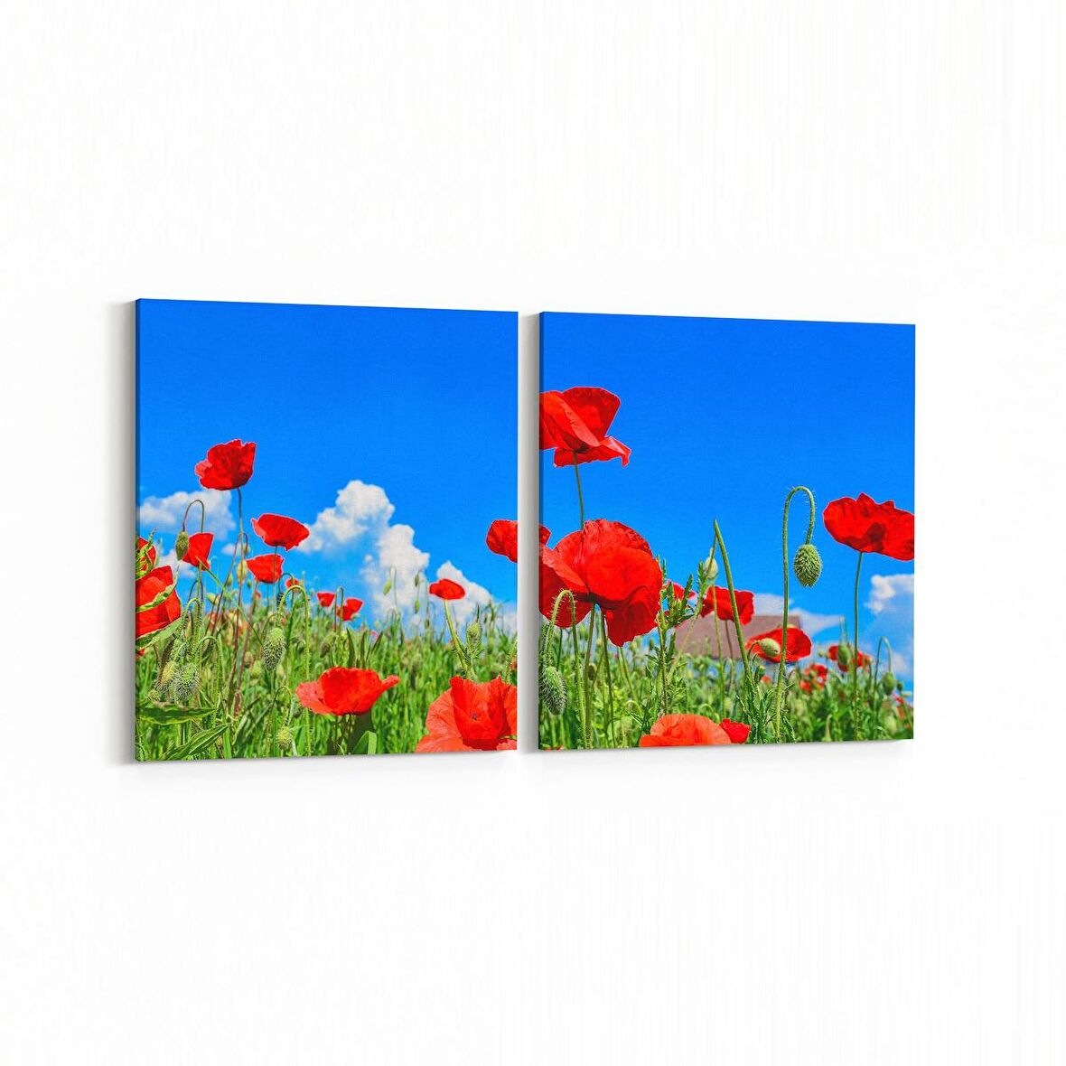 Olla 10881K2Y Ağaç Görseli Kare 2'li Yatay Kanvas Tablo (Ölçü: 125X60)