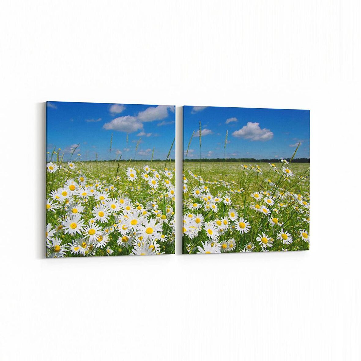 Olla 13739K2Y Doğa / Manzara Görseli Kare 2'li Yatay Kanvas Tablo (Ölçü: 125X60)