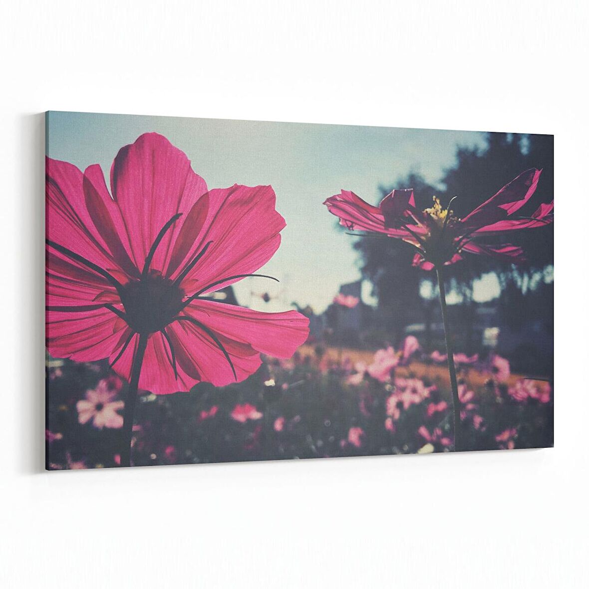 Olla 10812Y Ağaç Görseli Yatay Kanvas Tablo (Ölçü: 30X20)