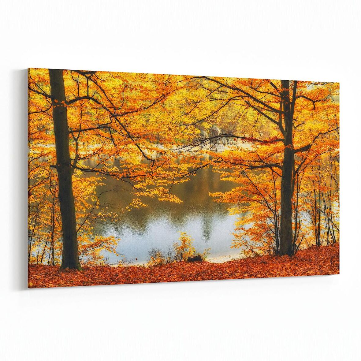 Olla 14409Y Doğa / Manzara Görseli Yatay Kanvas Tablo (Ölçü: 45X30)