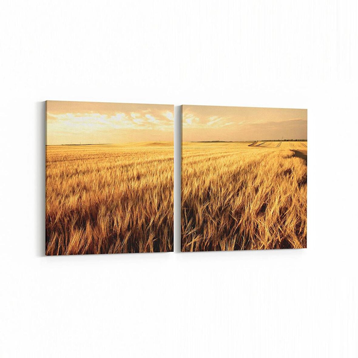 Olla 14008K2Y Doğa / Manzara Görseli Kare 2'li Yatay Kanvas Tablo (Ölçü: 125X60)