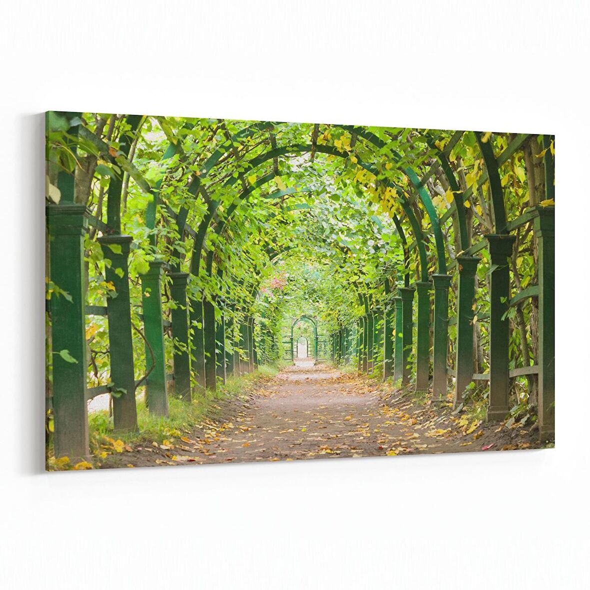 Olla 13281Y Doğa / Manzara Görseli Yatay Kanvas Tablo (Ölçü: 120X80)