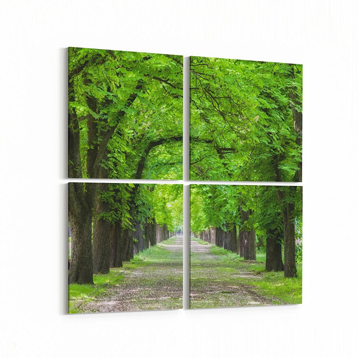 Olla 14389K4 Doğa / Manzara Görseli Kare 4'lü Kanvas Tablo (Ölçü: 125X125)