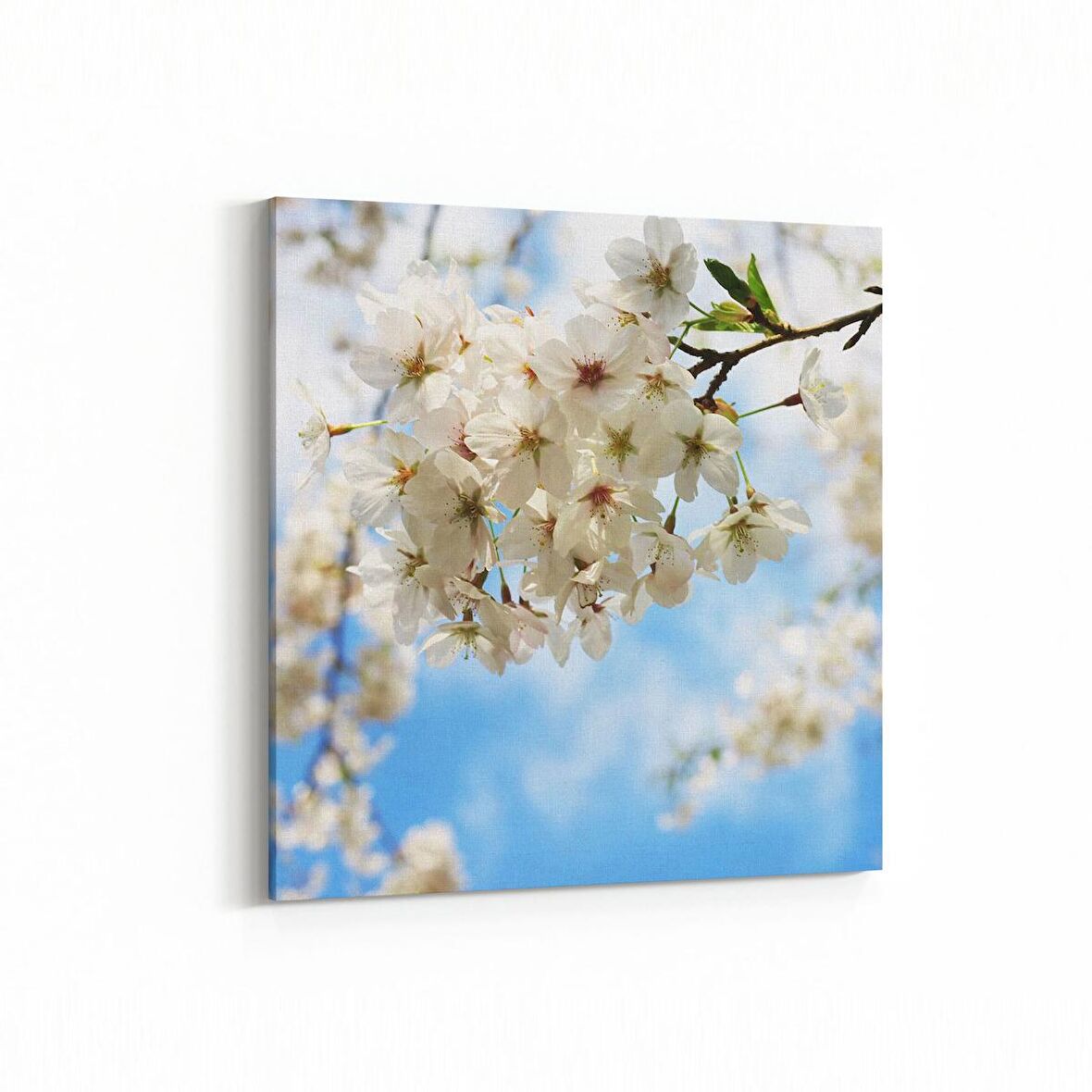 Olla 10612K Ağaç Görseli Kare Kanvas Tablo (Ölçü: 30X30)