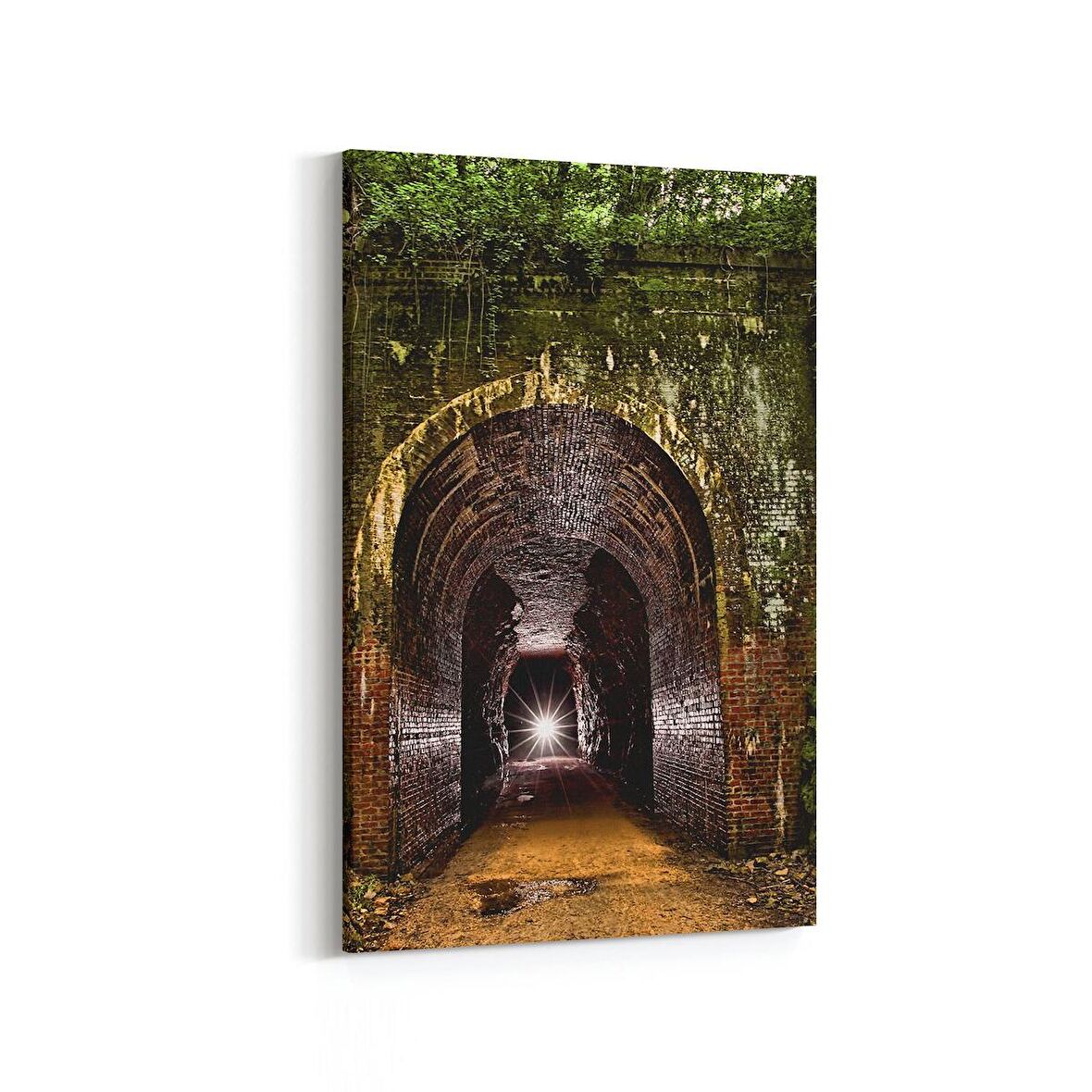 Olla 13538D Doğa / Manzara Görseli Dikey Kanvas Tablo (Ölçü: 100X150)