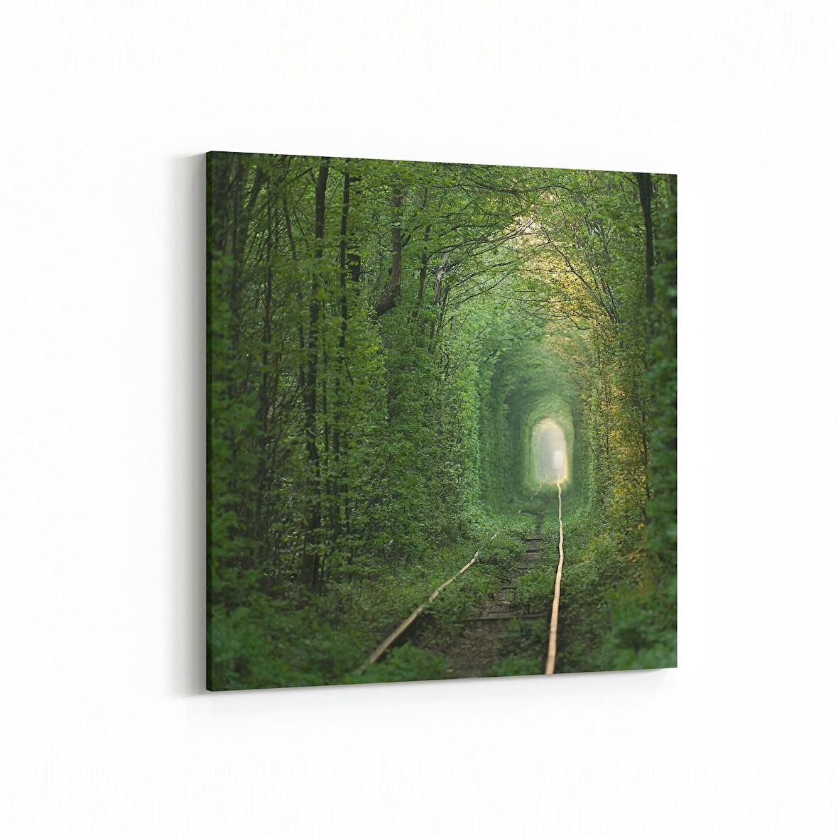 Olla 13296K Doğa / Manzara Görseli Kare Kanvas Tablo (Ölçü: 25X25)