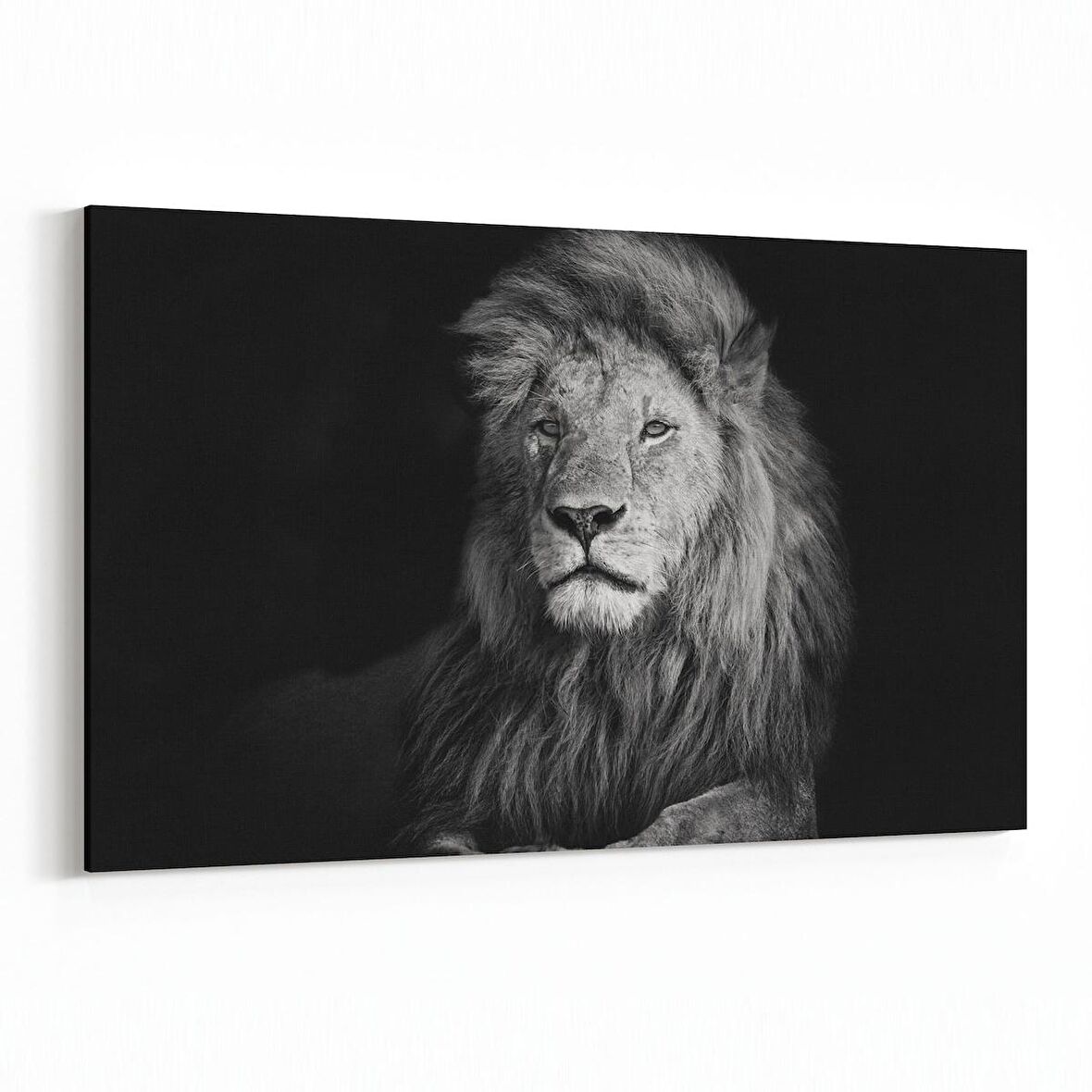 Olla 12552Y Hayvanlar Alemi Görseli Yatay Kanvas Tablo (Ölçü: 45X30)