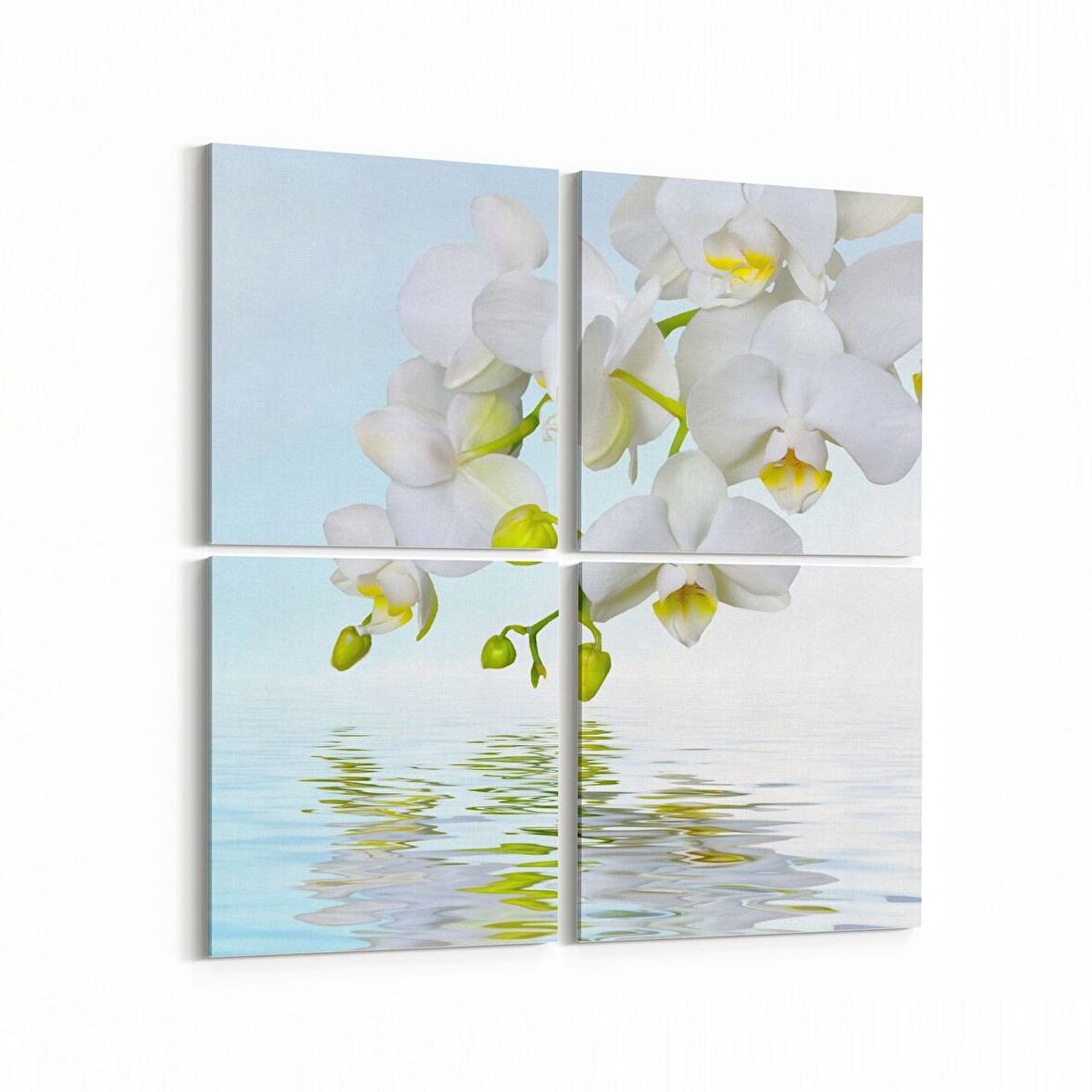 Olla 11735K4 Orkide Çiçek Görseli Kare 4'lü Kanvas Tablo (Ölçü: 145X145)