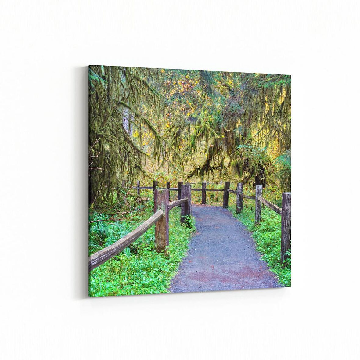 Olla 13305K Doğa / Manzara Görseli Kare Kanvas Tablo (Ölçü: 60X60)