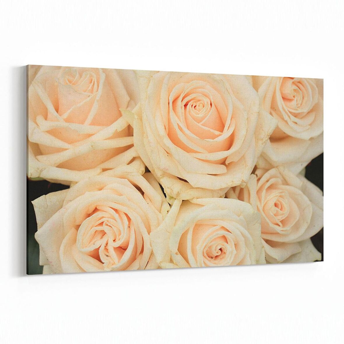 Olla 11619Y Çiçek Görseli Yatay Kanvas Tablo (Ölçü: 30X20)