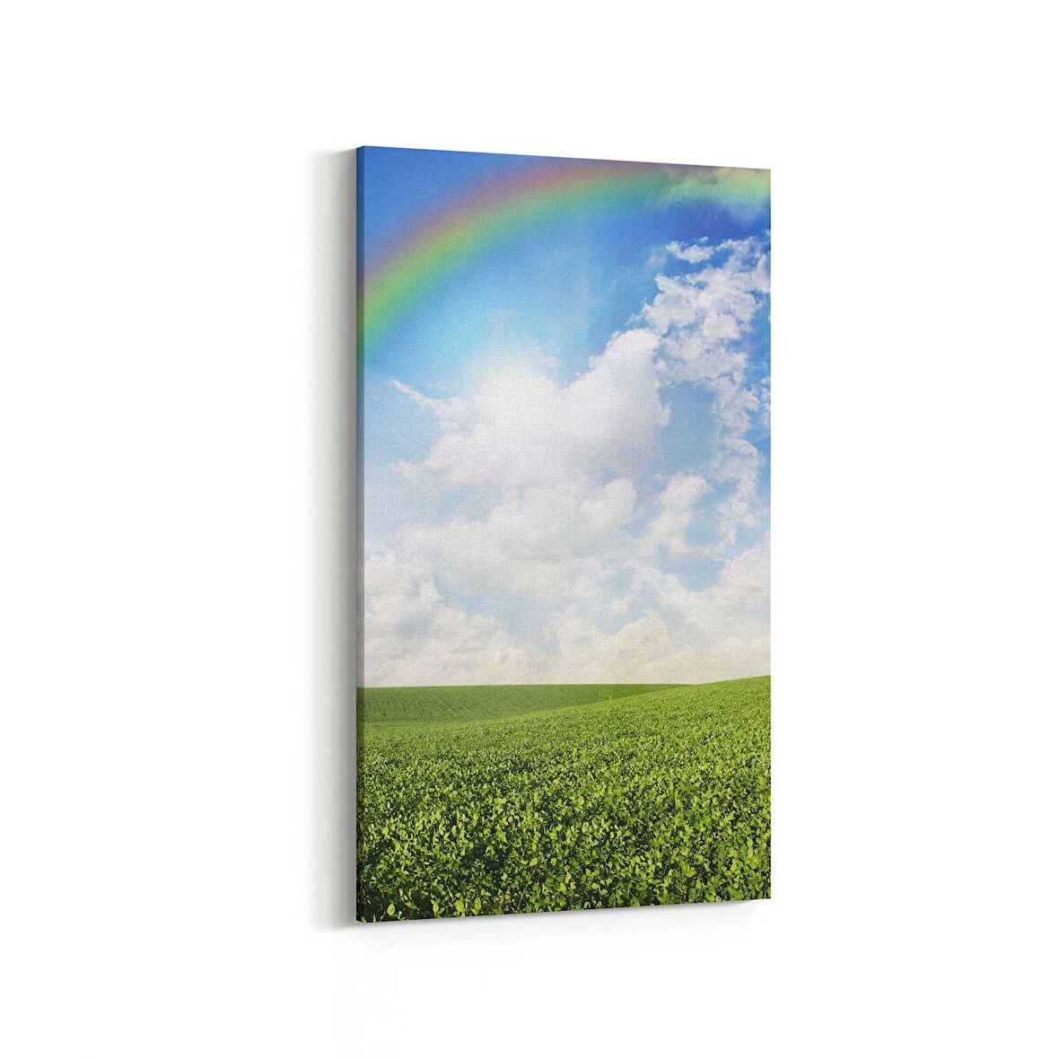 Olla 14605DD Doğa / Manzara Görseli Dikey Dar Kanvas Tablo (Ölçü: 60X120)