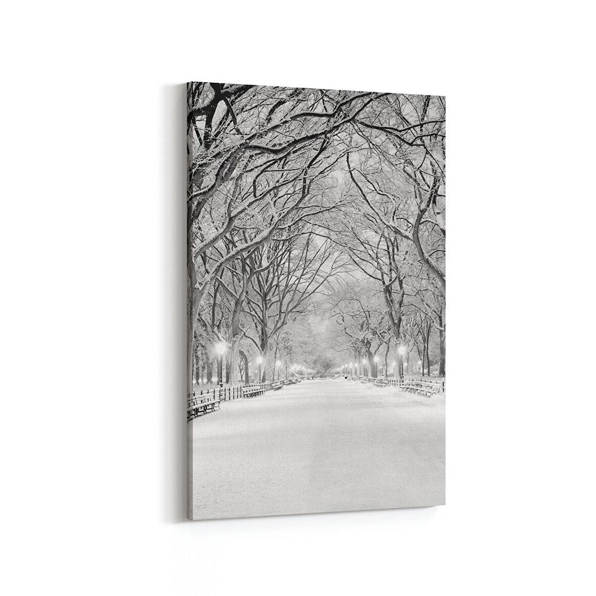 Olla 13780D Doğa / Manzara Görseli Dikey Kanvas Tablo (Ölçü: 60X90)