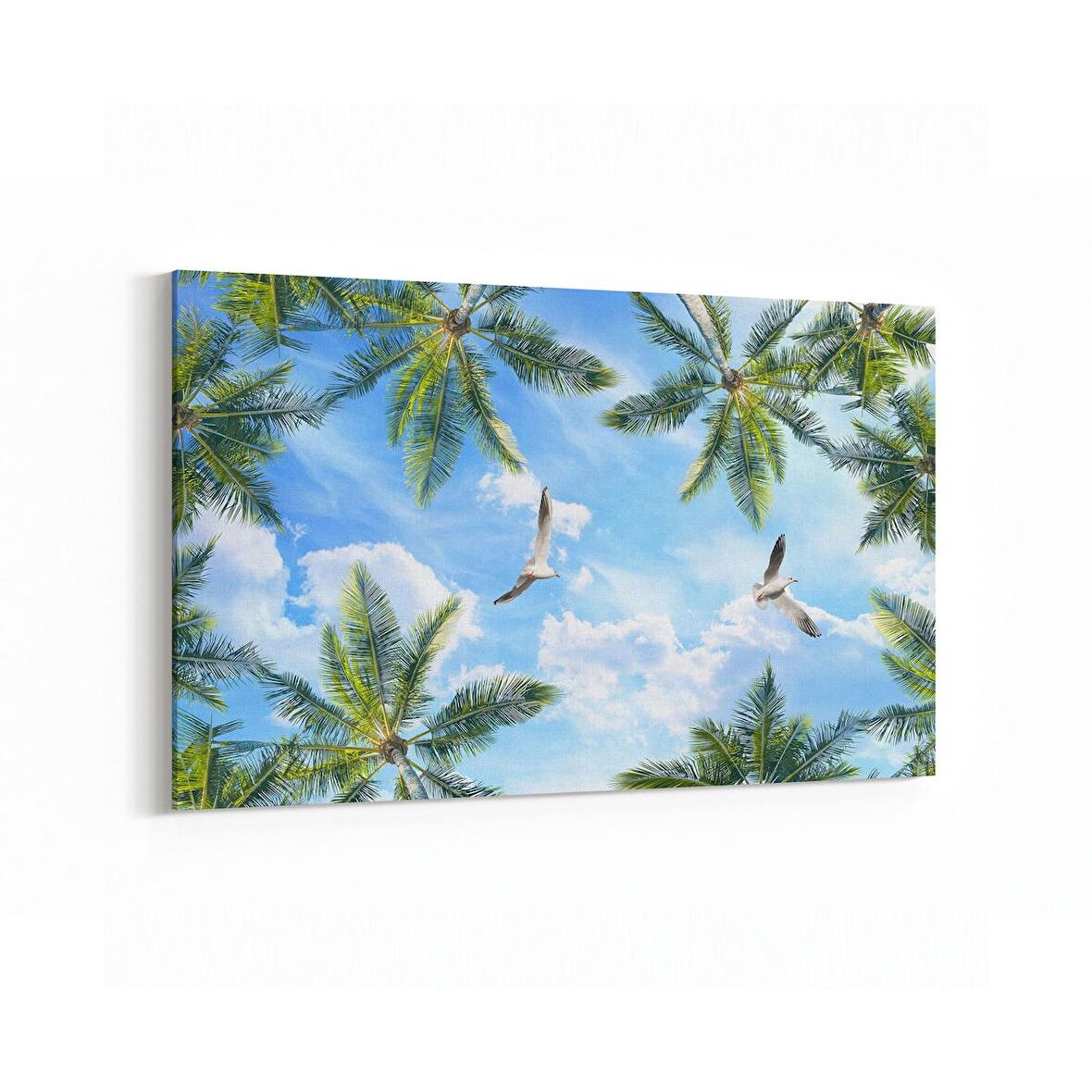 Olla 11509Y Palmiye Ağacı Görseli Yatay Kanvas Tablo (Ölçü: 90X60)