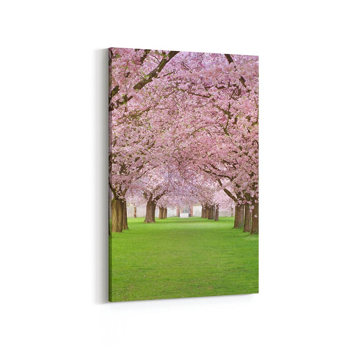 Olla 14054D Doğa / Manzara Görseli Dikey Kanvas Tablo (Ölçü: 100X150)