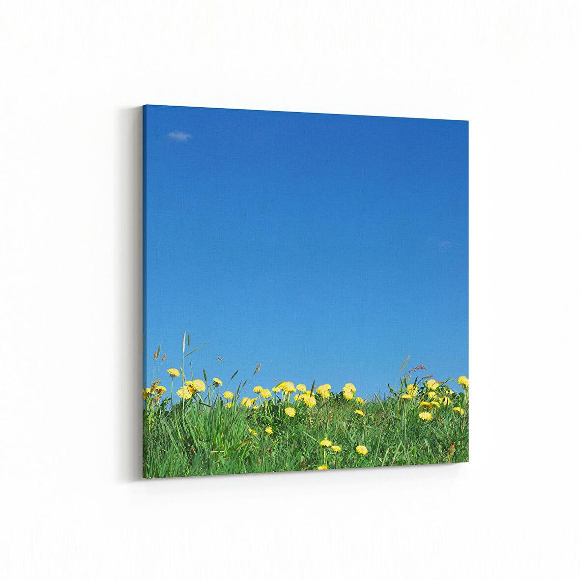 Olla 13899K Doğa / Manzara Görseli Kare Kanvas Tablo (Ölçü: 25X25)