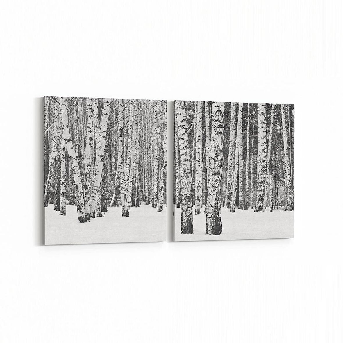 Olla 13317K2Y Doğa / Manzara Görseli Kare 2'li Yatay Kanvas Tablo (Ölçü: 105X50)