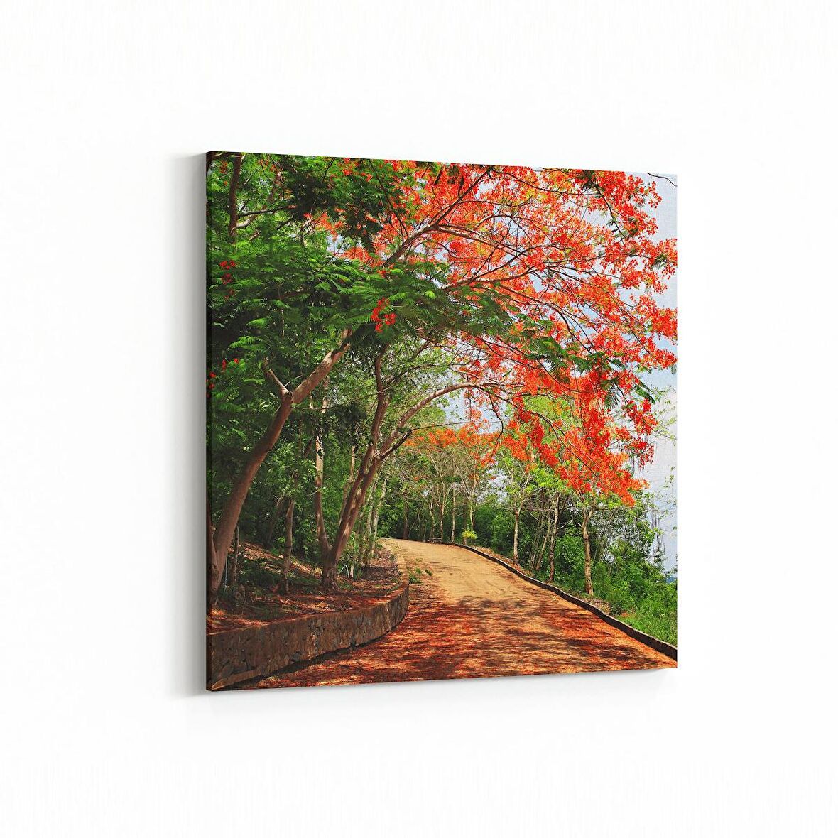 Olla 13489K Doğa / Manzara Görseli Kare Kanvas Tablo (Ölçü: 25X25)