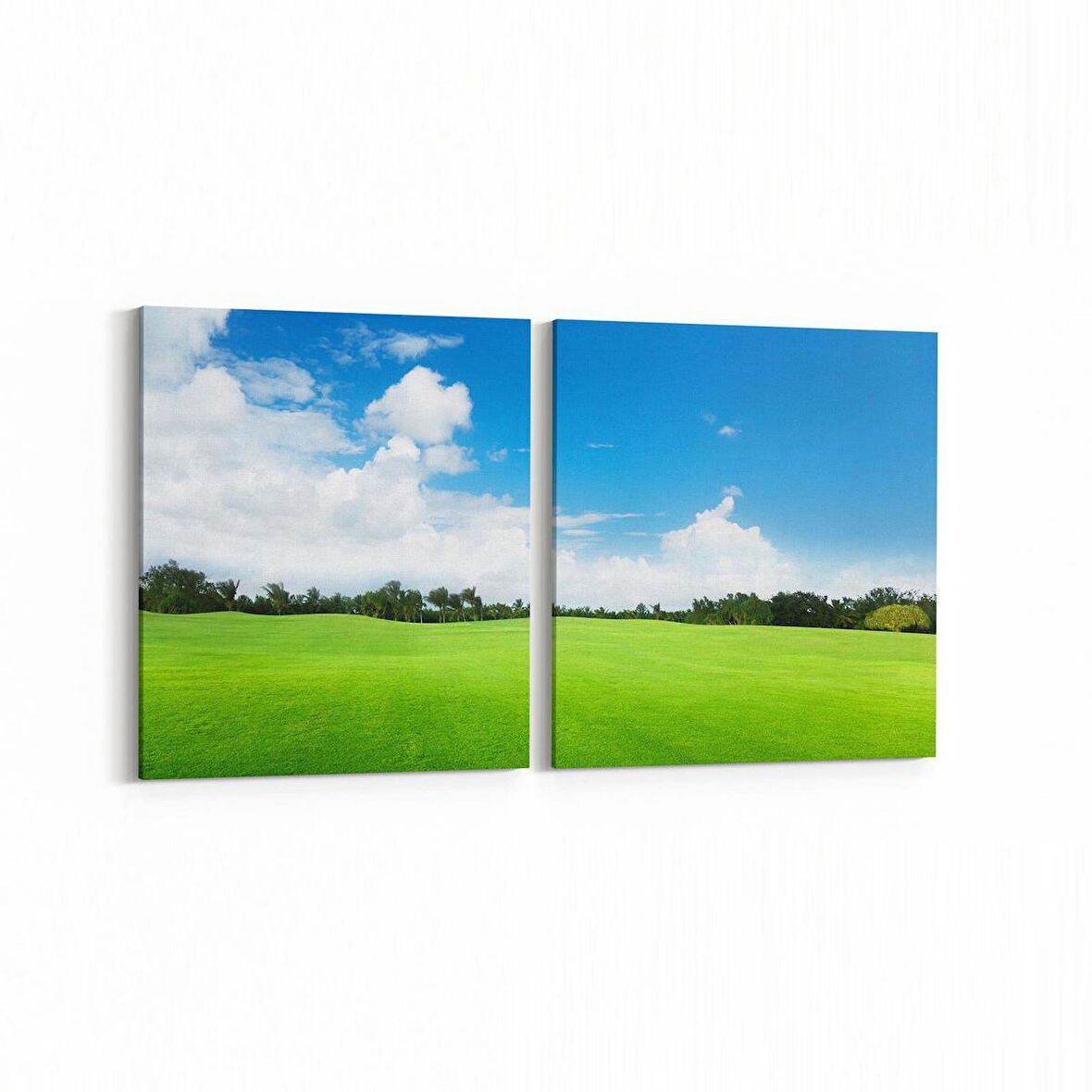 Olla 14143K2Y Doğa / Manzara Görseli Kare 2'li Yatay Kanvas Tablo (Ölçü: 65X30)