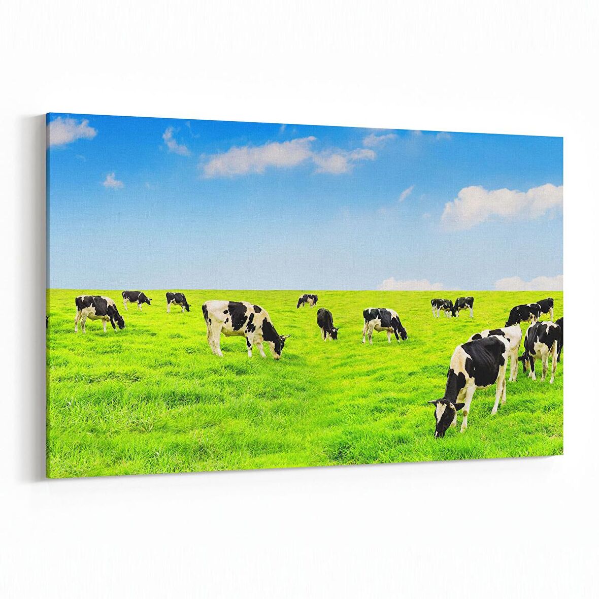 Olla 12671Y Hayvanlar Alemi Görseli Yatay Kanvas Tablo (Ölçü: 150X100)