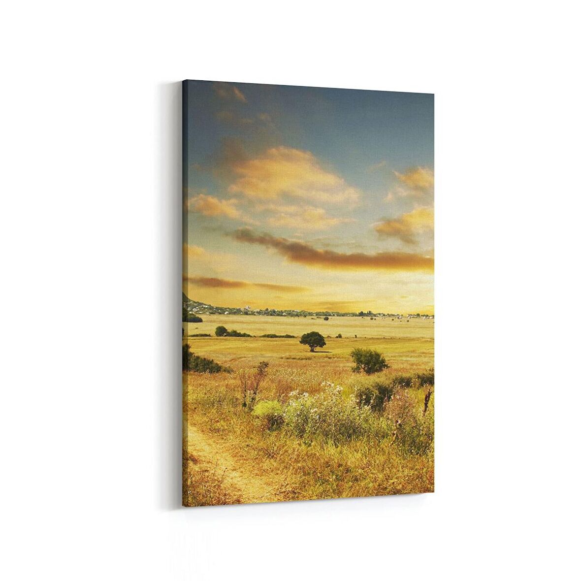 Olla 13920D Doğa / Manzara Görseli Dikey Kanvas Tablo (Ölçü: 60X90)