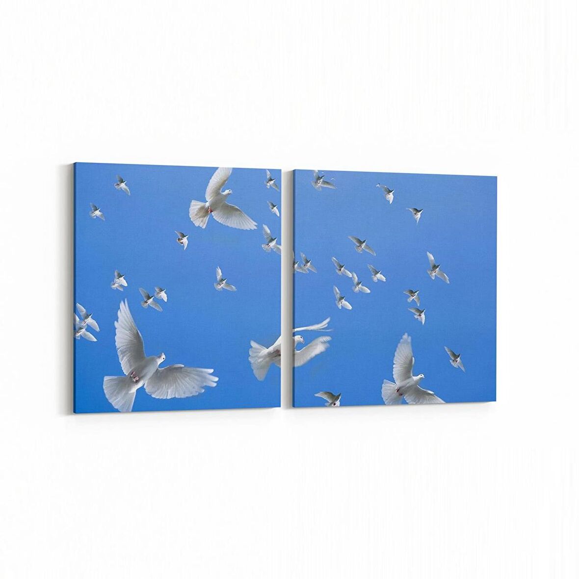 Olla 15862K2Y Gökyüzü Kuşlar Görseli Kare 2'li Yatay Kanvas Tablo (Ölçü: 125X60)