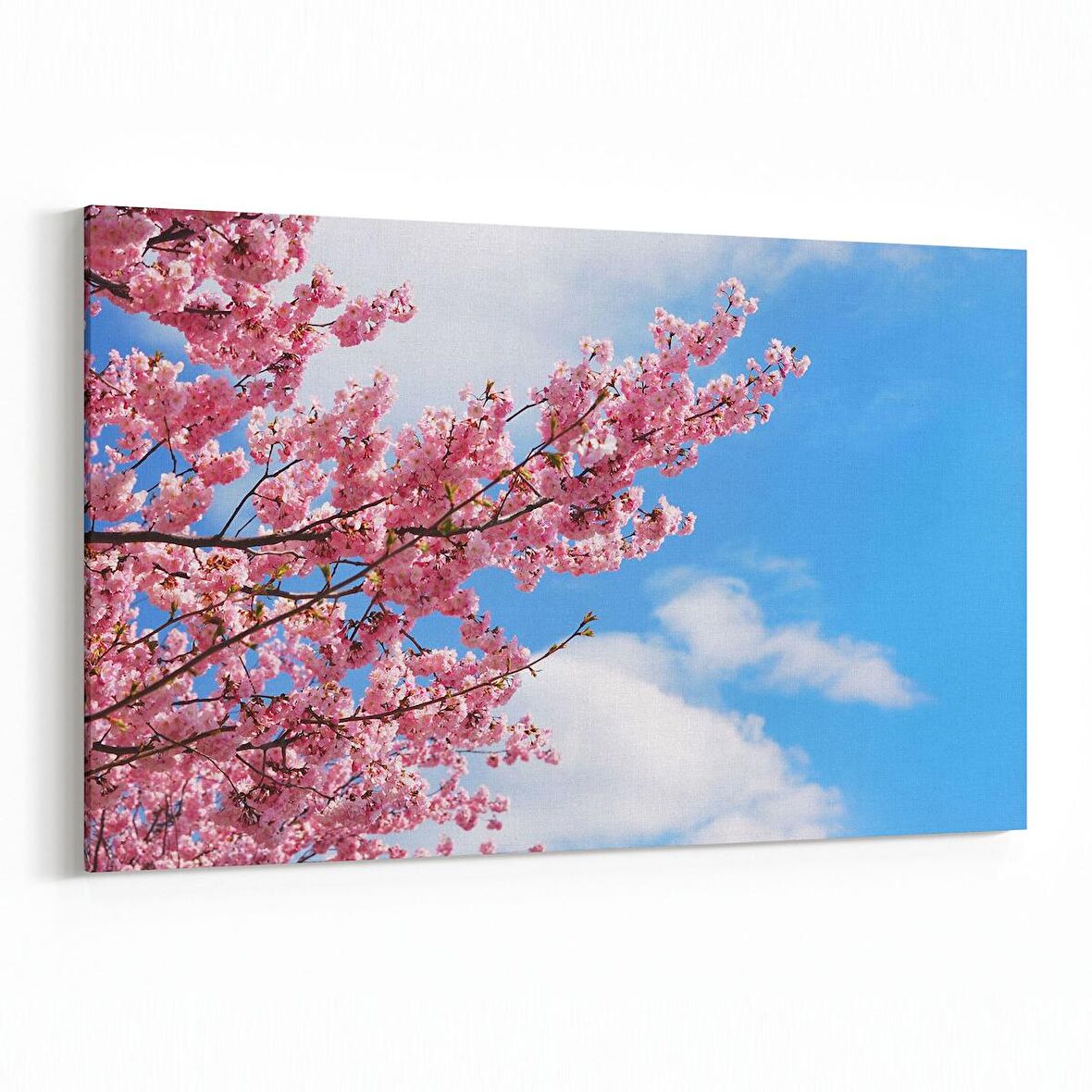 Olla 10755Y Ağaç Görseli Yatay Kanvas Tablo (Ölçü: 120X80)