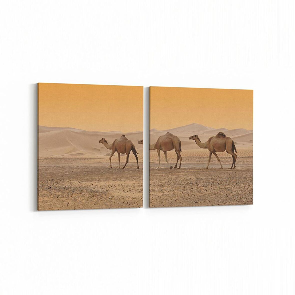 Olla 12644K2Y Hayvanlar Alemi Görseli Kare 2'li Yatay Kanvas Tablo (Ölçü: 125X60)