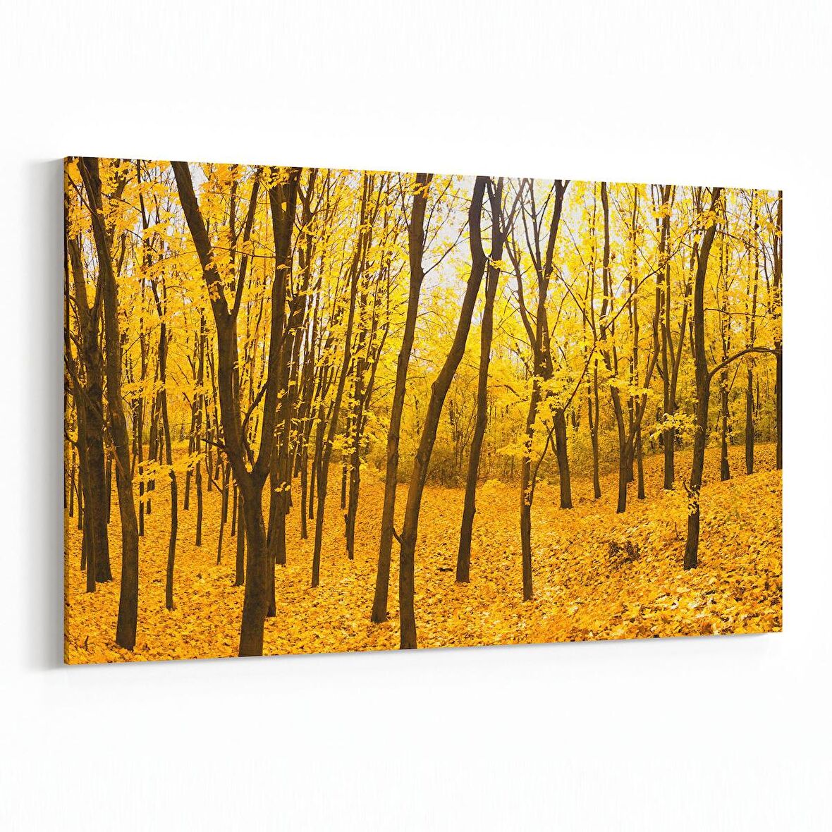 Olla 14318Y Doğa / Manzara Görseli Yatay Kanvas Tablo (Ölçü: 30X20)