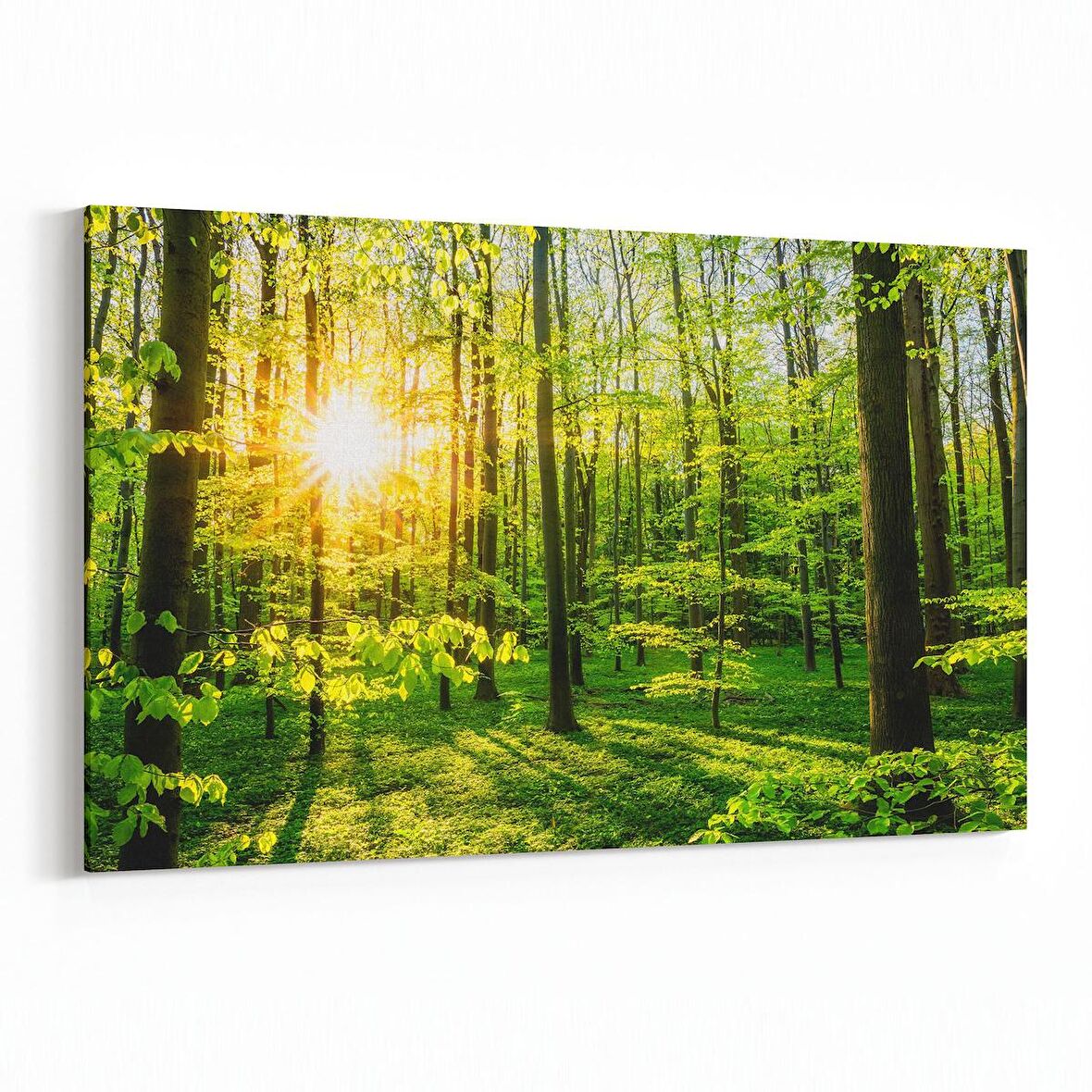 Olla 14304Y Doğa / Manzara Görseli Yatay Kanvas Tablo (Ölçü: 120X80)