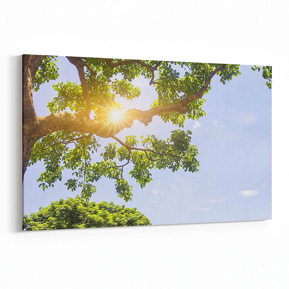 Olla 10604Y Ağaç Görseli Yatay Kanvas Tablo (Ölçü: 45X30)