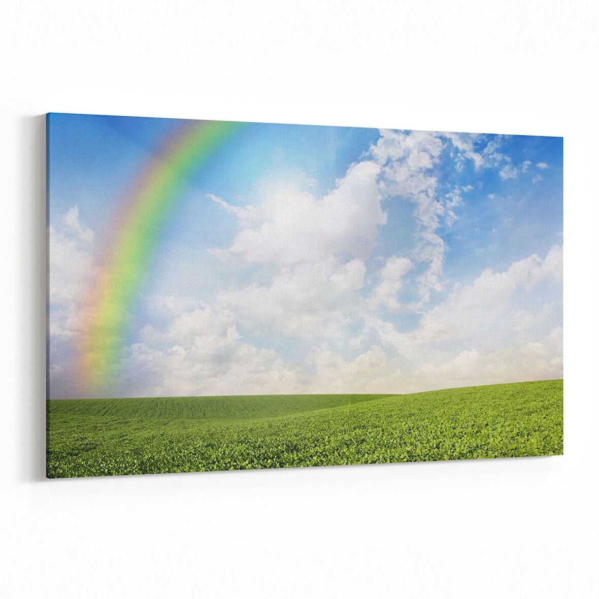 Olla 14605Y Doğa / Manzara Görseli Yatay Kanvas Tablo (Ölçü: 150X100)