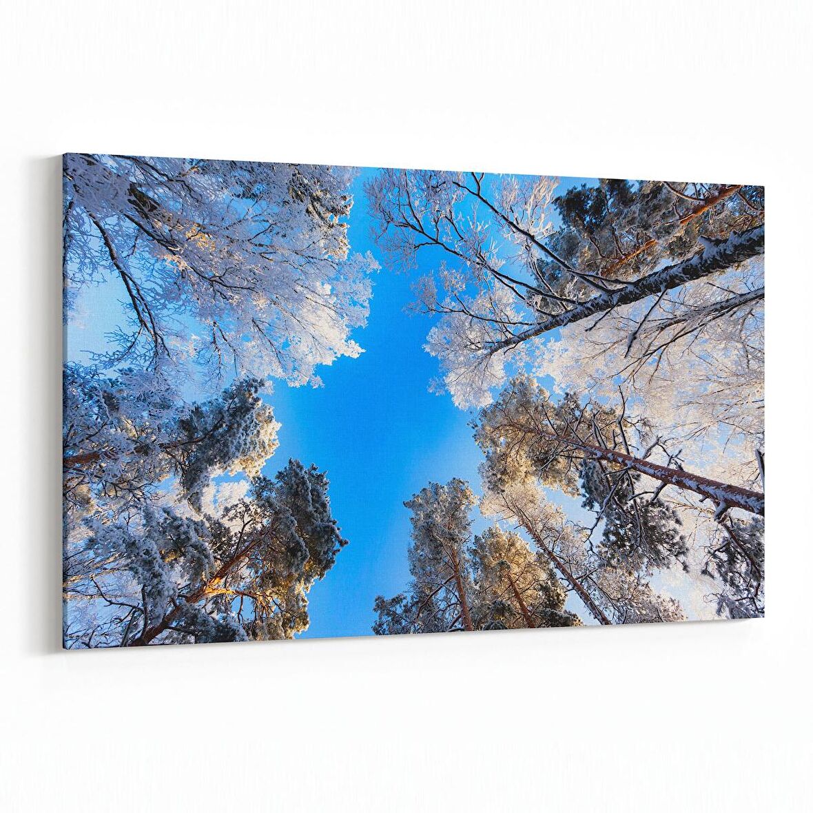 Olla 10614Y Ağaç Görseli Yatay Kanvas Tablo (Ölçü: 150X100)